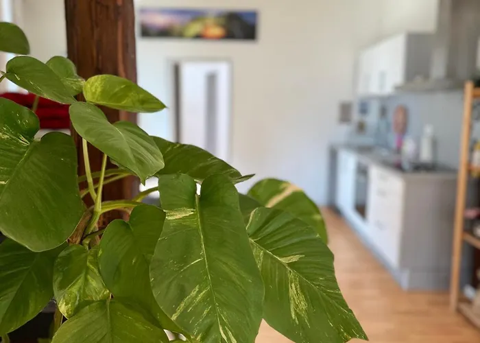 Апартаменты Le Stanislas Confort A - Centre - Кольмар