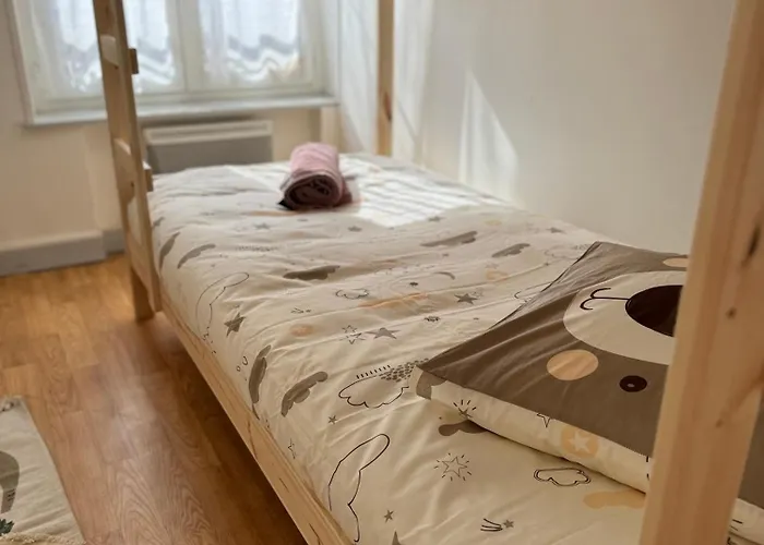 Appartement Le Stanislas Confort à - Centre - Colmar