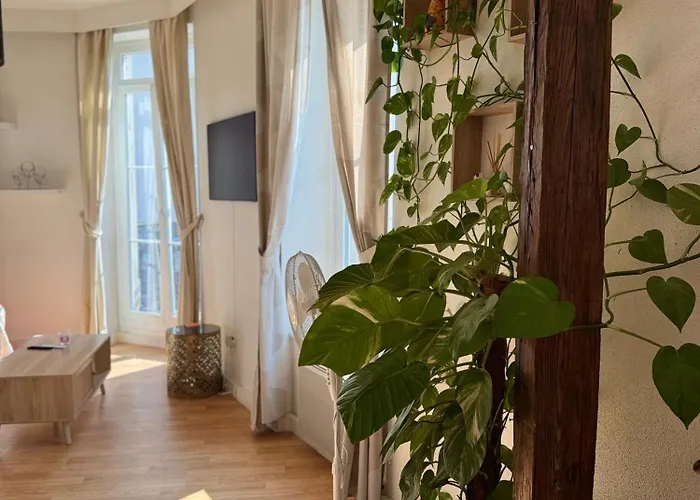 Appartement Le Stanislas Confort à - Centre - Colmar